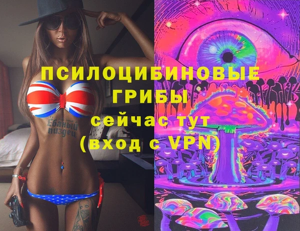 сатива Алексин
