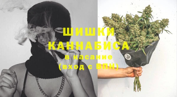 сатива Алексин